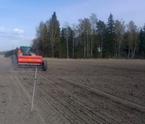 Efter att vi är klara med alla rutor kompletteringssår Torbjörn havre i gångarna mellan blocken.