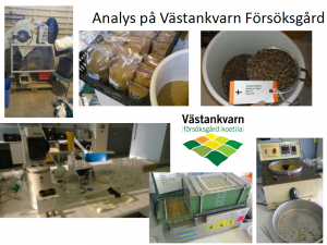 AnalysVästankvarnFörsöksgård