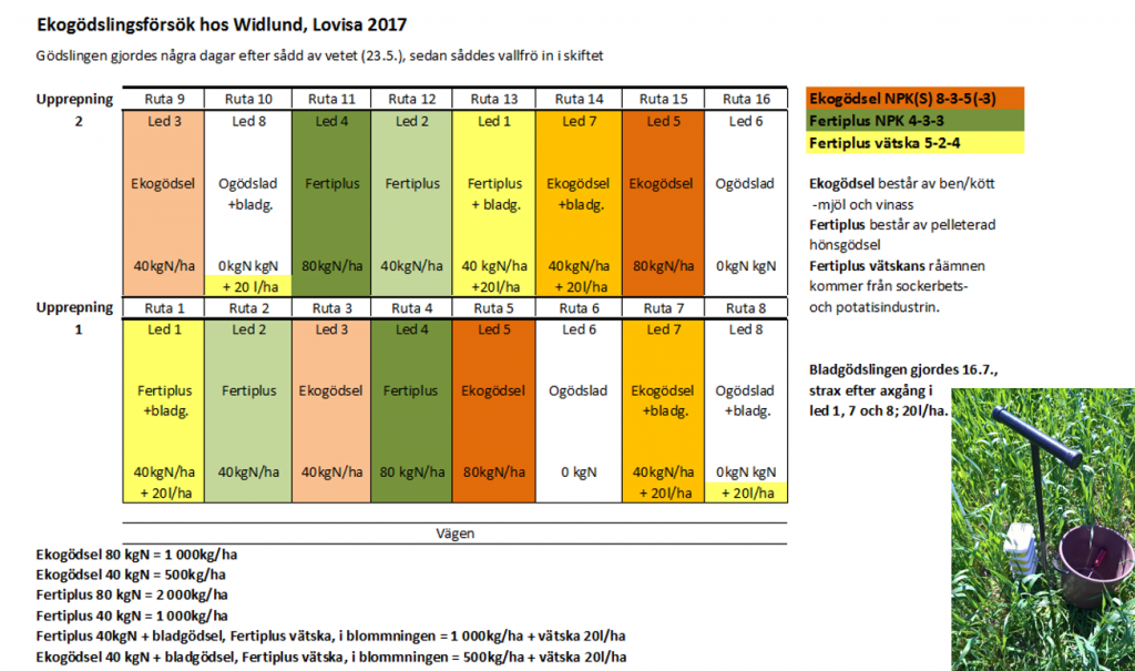 Ekodemo2017