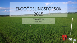 Ekogödsling2015