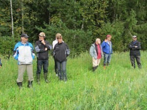 Foto 4: Sist på träffen besökte vi observationsskiftet vid Peter Kengo i Pensala med blandsäd och ärt. Skiftet skördas som helsädesensilage då vädret tillåter.