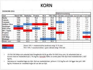 Korn 2014