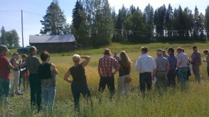 Odlarträff vid ekosortförsöken i Gammelby 15.8.2012