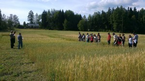 Odlarträff vid ekosortförsöken i Gammelby 15.8.2012