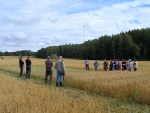 Fältvandring vid Ekosortförsöken i Gammelby 13.8.