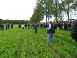 Många åhörare får plats på två stora traktorsläp! I mitten står en av Hushållningssällskapets rådgivare och berättar om fältet