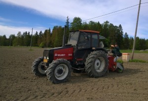 På såmaskinen sitter i år EkoNu!s tidigare projektkoordinator Micaela.