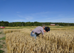 Åland